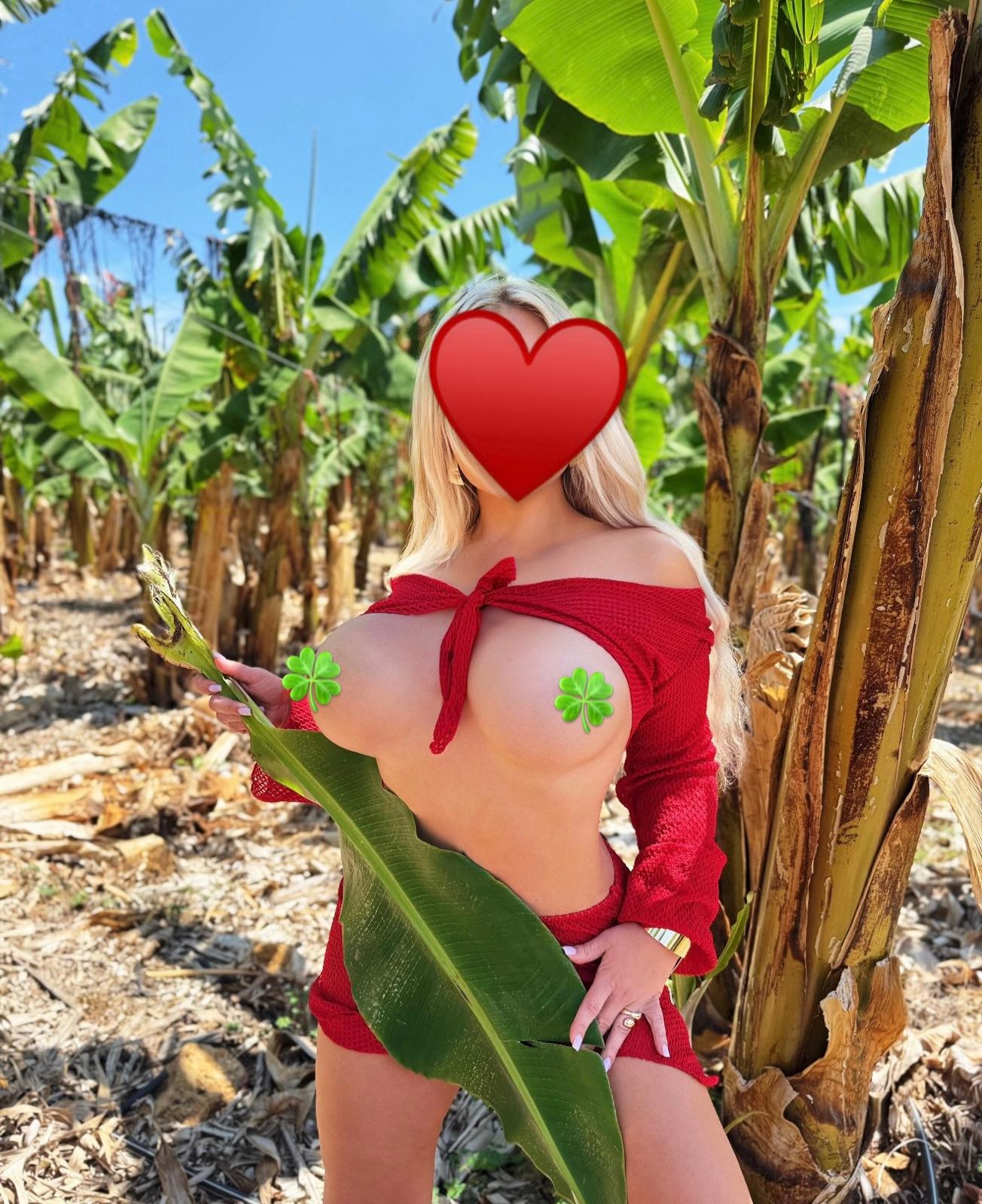 סופיה -מעסה ממכרת -חיפה